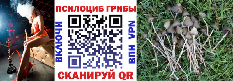 OMG ссылки  Северо-Курильск  Псилоцибиновые грибы MAGIC MUSHROOMS 